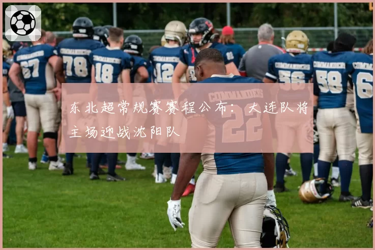 东北超常规赛赛程公布：大连队将主场迎战沈阳队