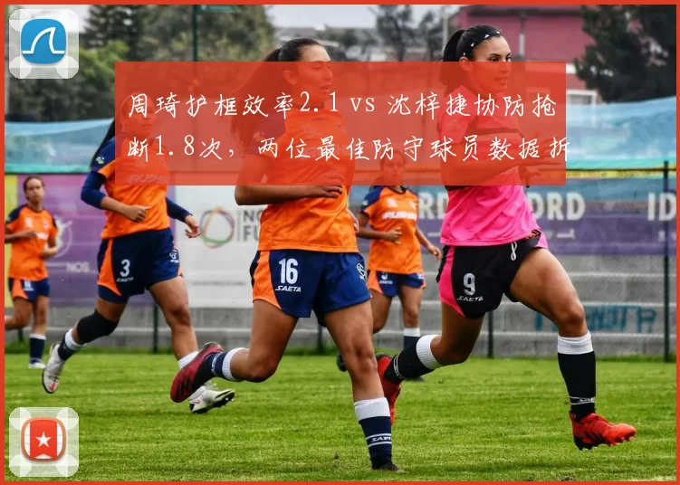 周琦护框效率2.1 vs 沈梓捷协防抢断1.8次,两位最佳防守球员数据拆解