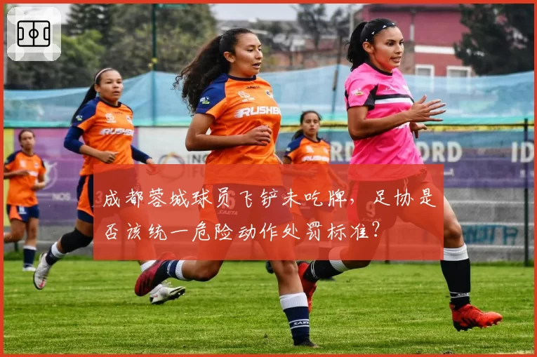成都蓉城球员飞铲未吃牌，足协是否该统一危险动作处罚标准？